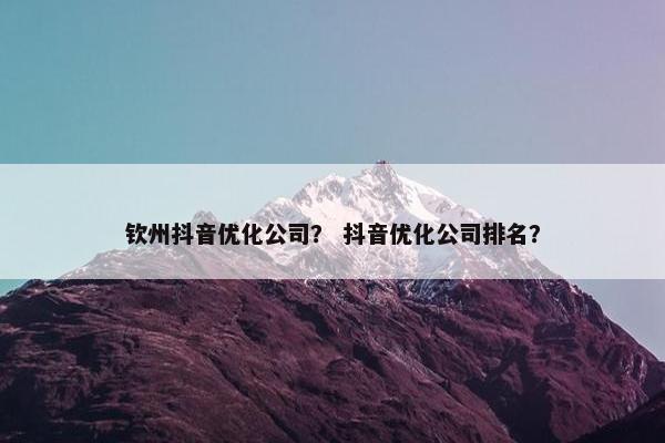 钦州抖音优化公司？ 抖音优化公司排名？