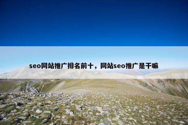 seo网站推广排名前十，网站seo推广是干嘛
