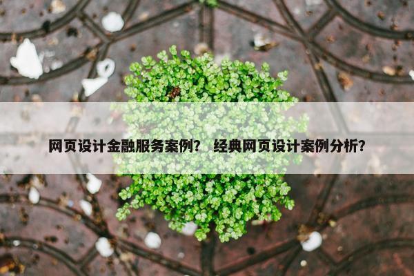 网页设计金融服务案例？ 经典网页设计案例分析？