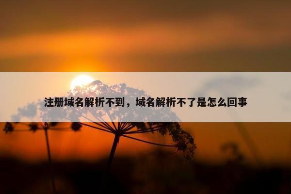 注册域名解析不到，域名解析不了是怎么回事