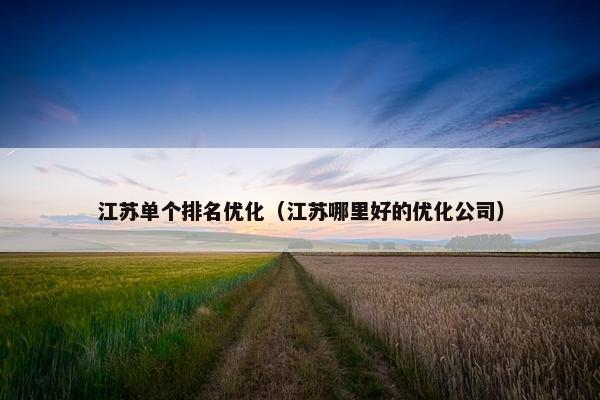 江苏单个排名优化（江苏哪里好的优化公司）