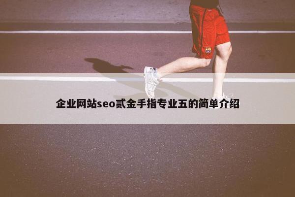 企业网站seo贰金手指专业五的简单介绍