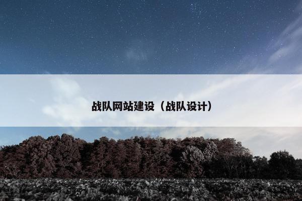 战队网站建设（战队设计）