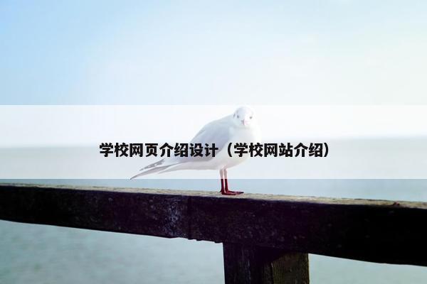 学校网页介绍设计（学校网站介绍）