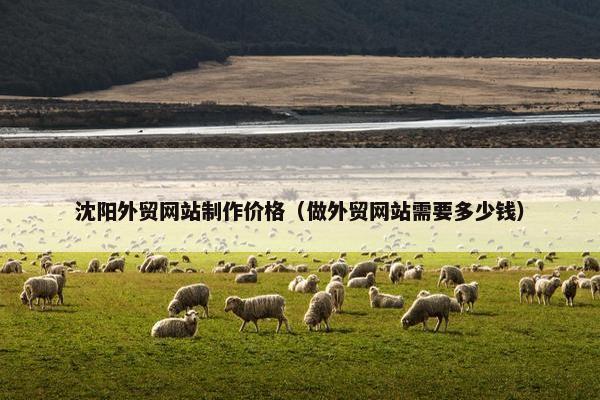 沈阳外贸网站制作价格（做外贸网站需要多少钱）