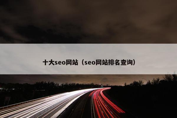 十大seo网站（seo网站排名查询）