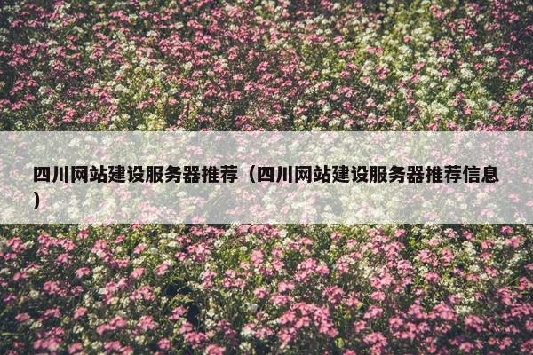 四川网站建设服务器推荐（四川网站建设服务器推荐信息）