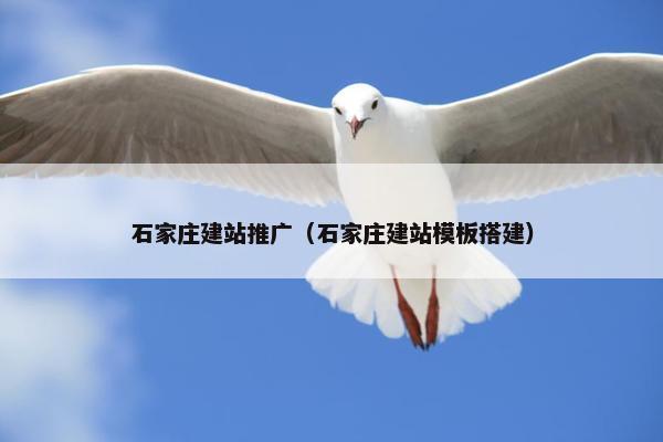 石家庄建站推广（石家庄建站模板搭建）