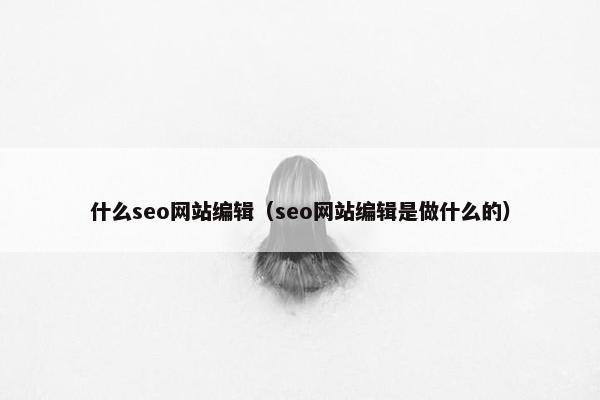 什么seo网站编辑（seo网站编辑是做什么的）