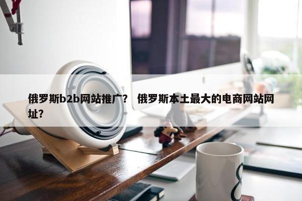 俄罗斯b2b网站推广？ 俄罗斯本土最大的电商网站网址？