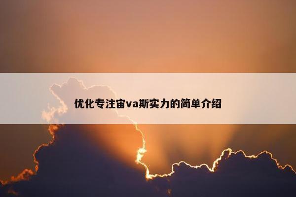 优化专注宙va斯实力的简单介绍