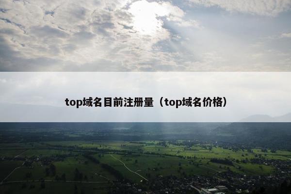 top域名目前注册量（top域名价格）
