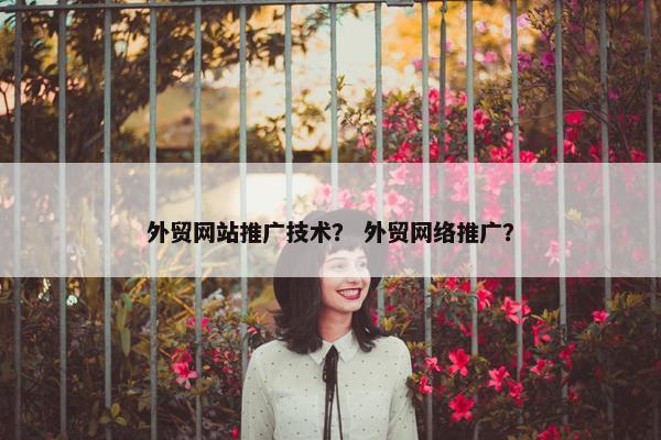 外贸网站推广技术？ 外贸网络推广？