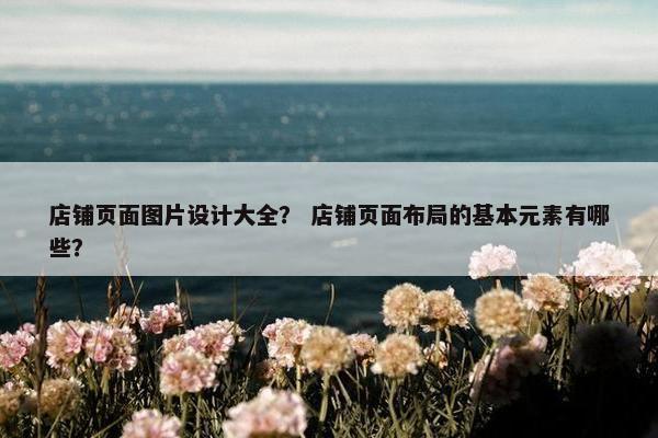 店铺页面图片设计大全？ 店铺页面布局的基本元素有哪些？