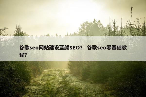 谷歌seo网站建设蓝颜SEO？ 谷歌seo零基础教程？