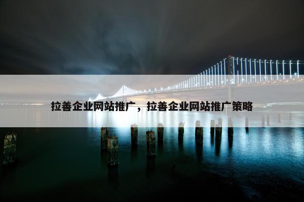 拉善企业网站推广，拉善企业网站推广策略