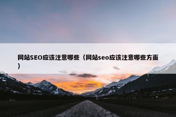 网站SEO应该注意哪些（网站seo应该注意哪些方面）
