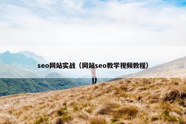 seo网站实战（网站seo教学视频教程）