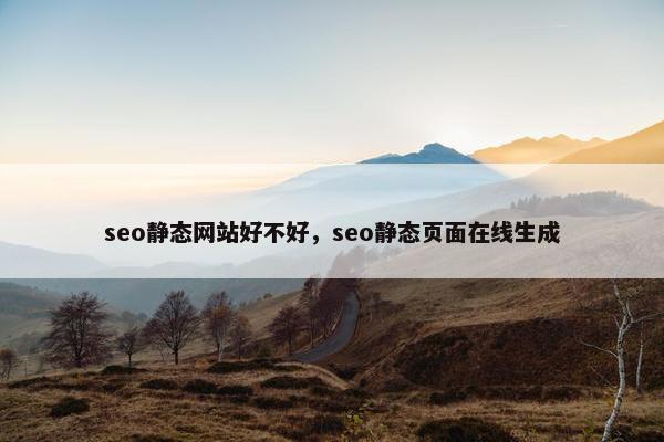 seo静态网站好不好，seo静态页面在线生成