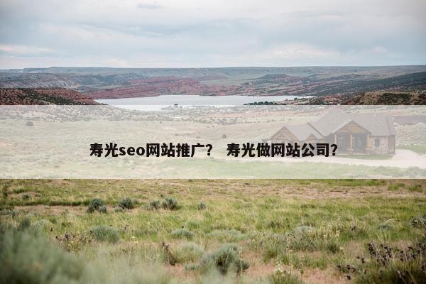 寿光seo网站推广？ 寿光做网站公司？
