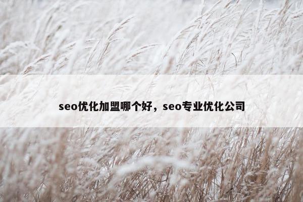 seo优化加盟哪个好，seo专业优化公司