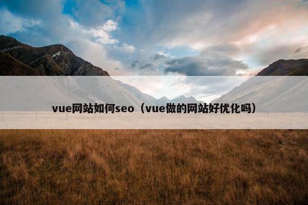 vue网站如何seo（vue做的网站好优化吗）