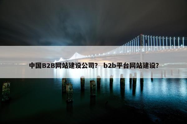 中国B2B网站建设公司？ b2b平台网站建设？