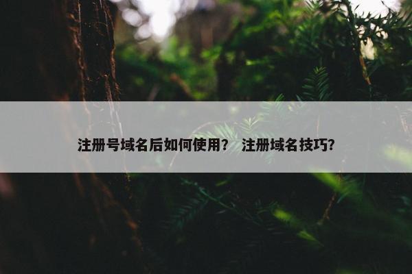 注册号域名后如何使用？ 注册域名技巧？