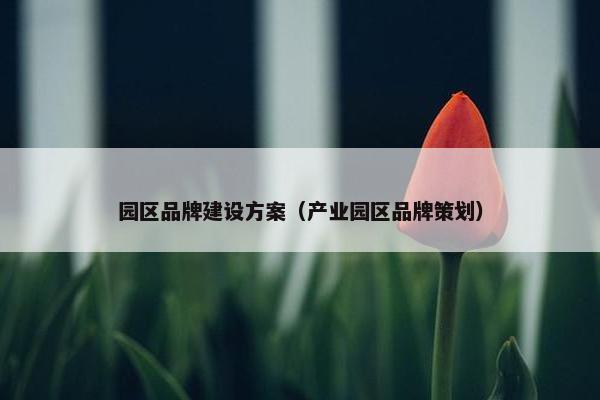 园区品牌建设方案（产业园区品牌策划）