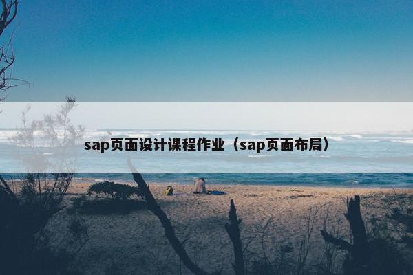 sap页面设计课程作业（sap页面布局）