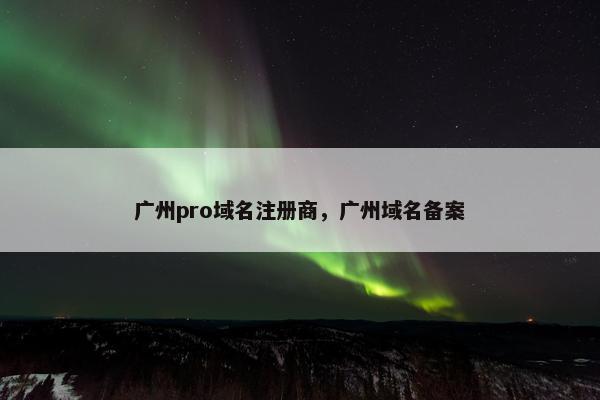 广州pro域名注册商，广州域名备案
