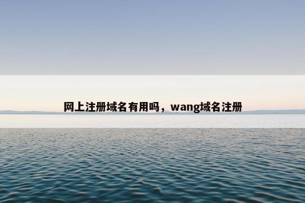 网上注册域名有用吗，wang域名注册
