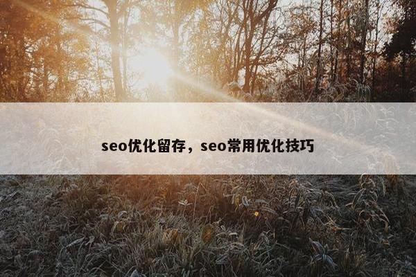 seo优化留存，seo常用优化技巧