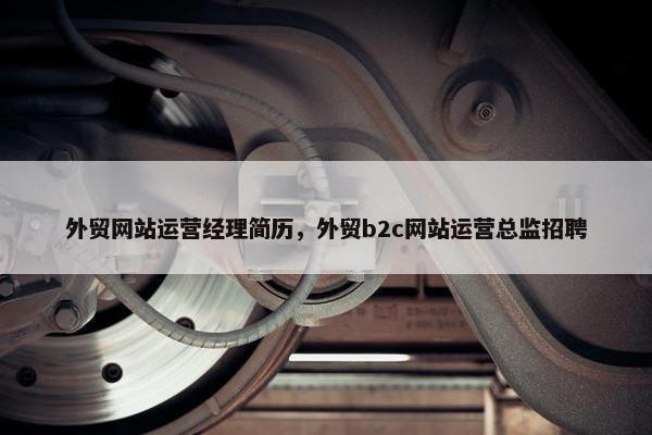 外贸网站运营经理简历，外贸b2c网站运营总监招聘