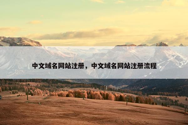 中文域名网站注册，中文域名网站注册流程