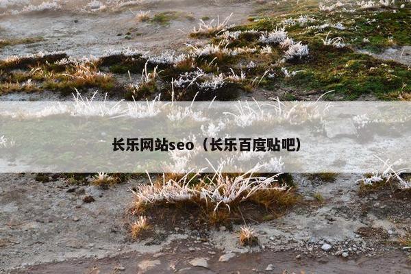 长乐网站seo（长乐百度贴吧）