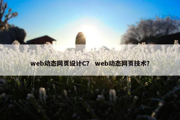 web动态网页设计C？ web动态网页技术？