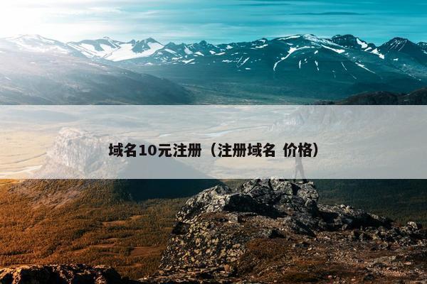 域名10元注册（注册域名 价格）