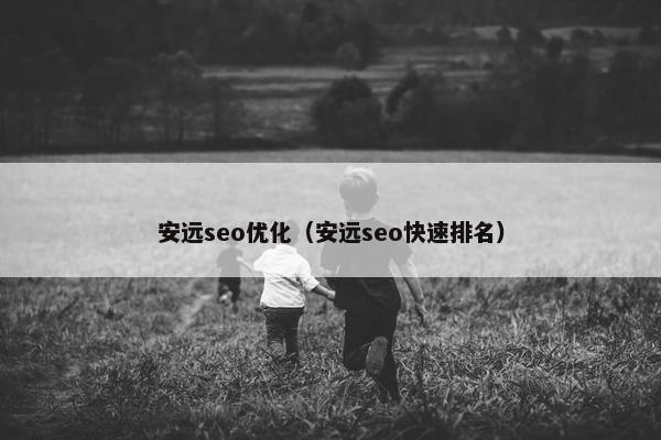 安远seo优化(安远seo快速排名)