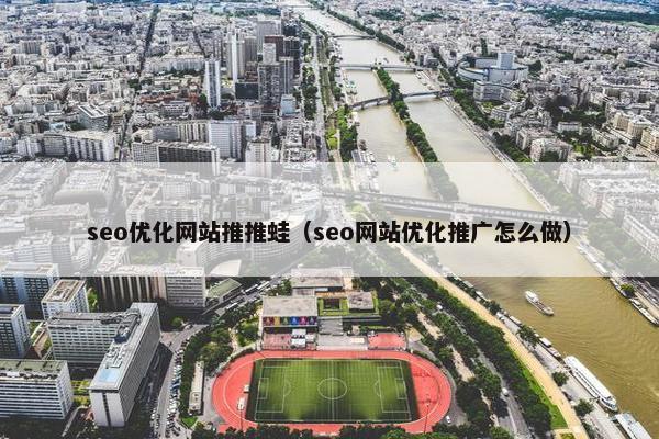 seo优化网站推推蛙（seo网站优化推广怎么做）