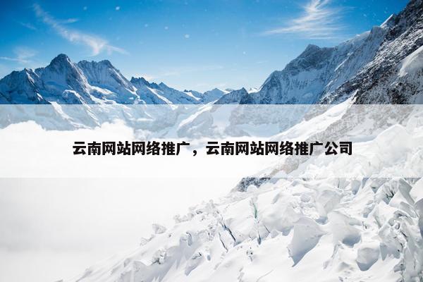云南网站网络推广，云南网站网络推广公司