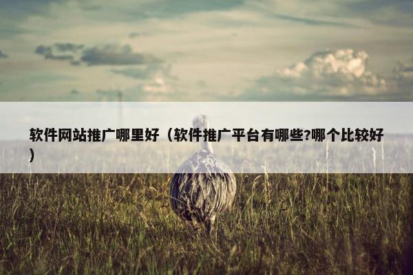 软件网站推广哪里好（软件推广平台有哪些?哪个比较好）