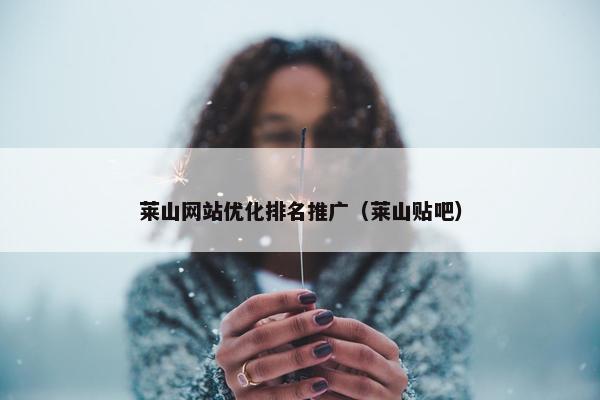 莱山网站优化排名推广（莱山贴吧）