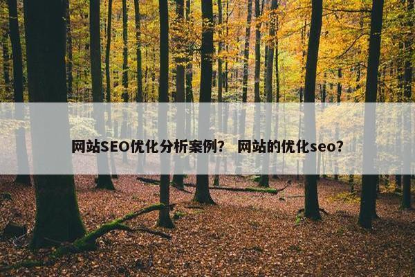 网站SEO优化分析案例？ 网站的优化seo？