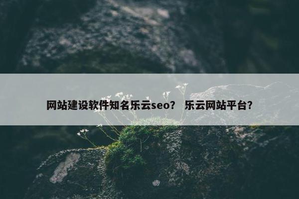 网站建设软件知名乐云seo？ 乐云网站平台？