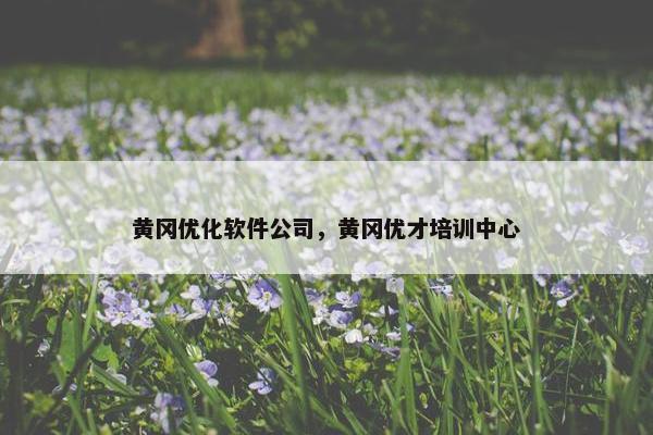 黄冈优化软件公司，黄冈优才培训中心