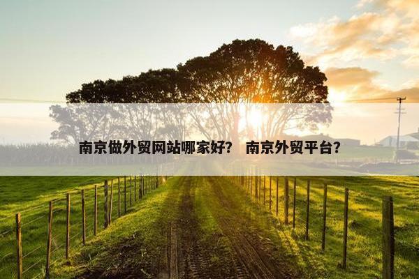南京做外贸网站哪家好？ 南京外贸平台？
