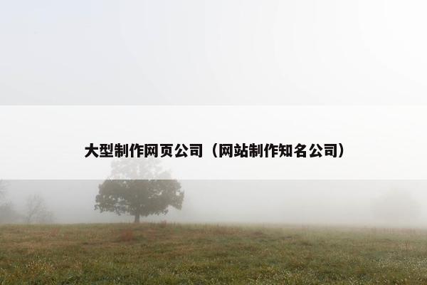 大型制作网页公司（网站制作知名公司）