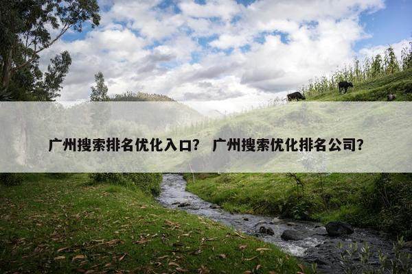 广州搜索排名优化入口？ 广州搜索优化排名公司？