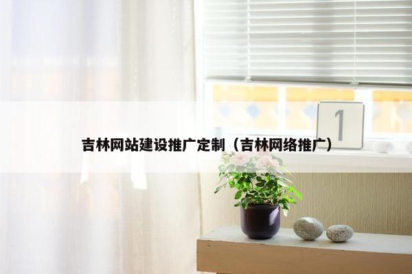 吉林网站建设推广定制（吉林网络推广）